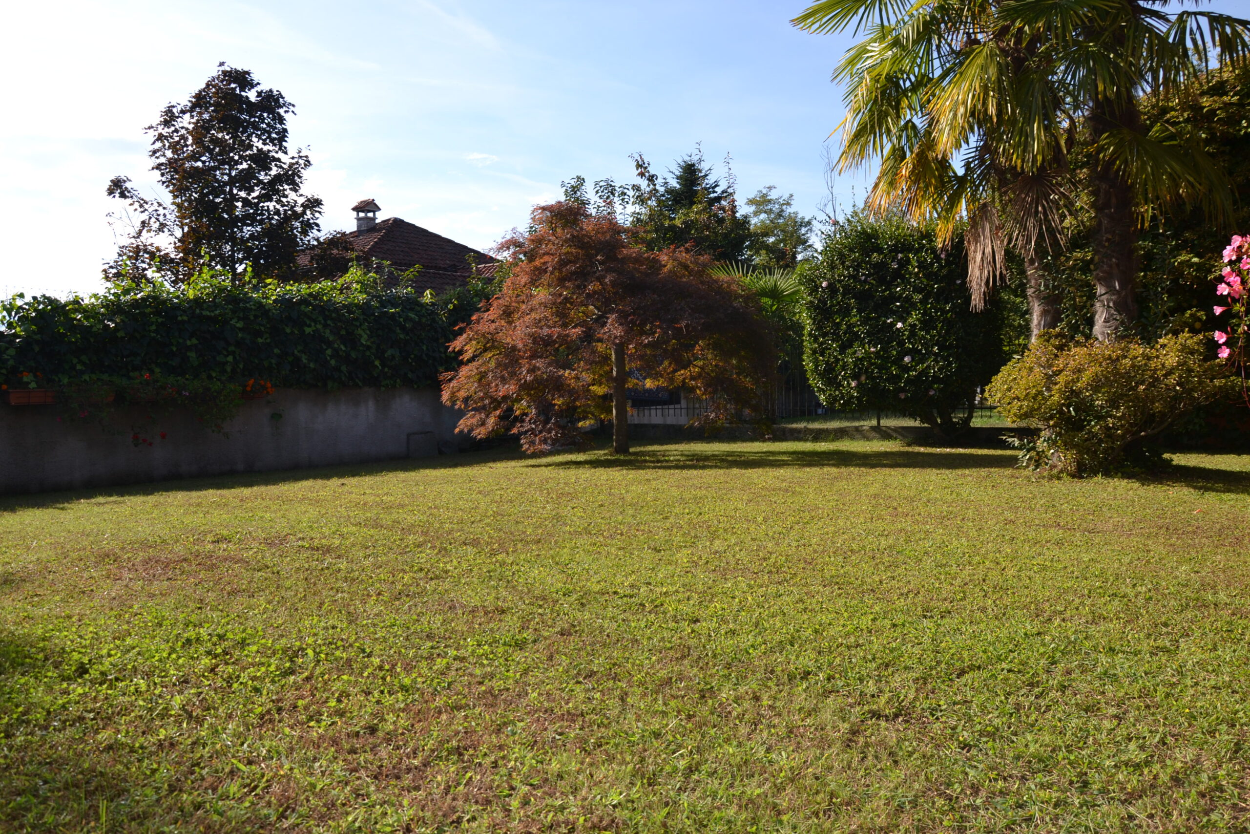 Anteprima foto Villa di recente costruzione con giardino, Intra