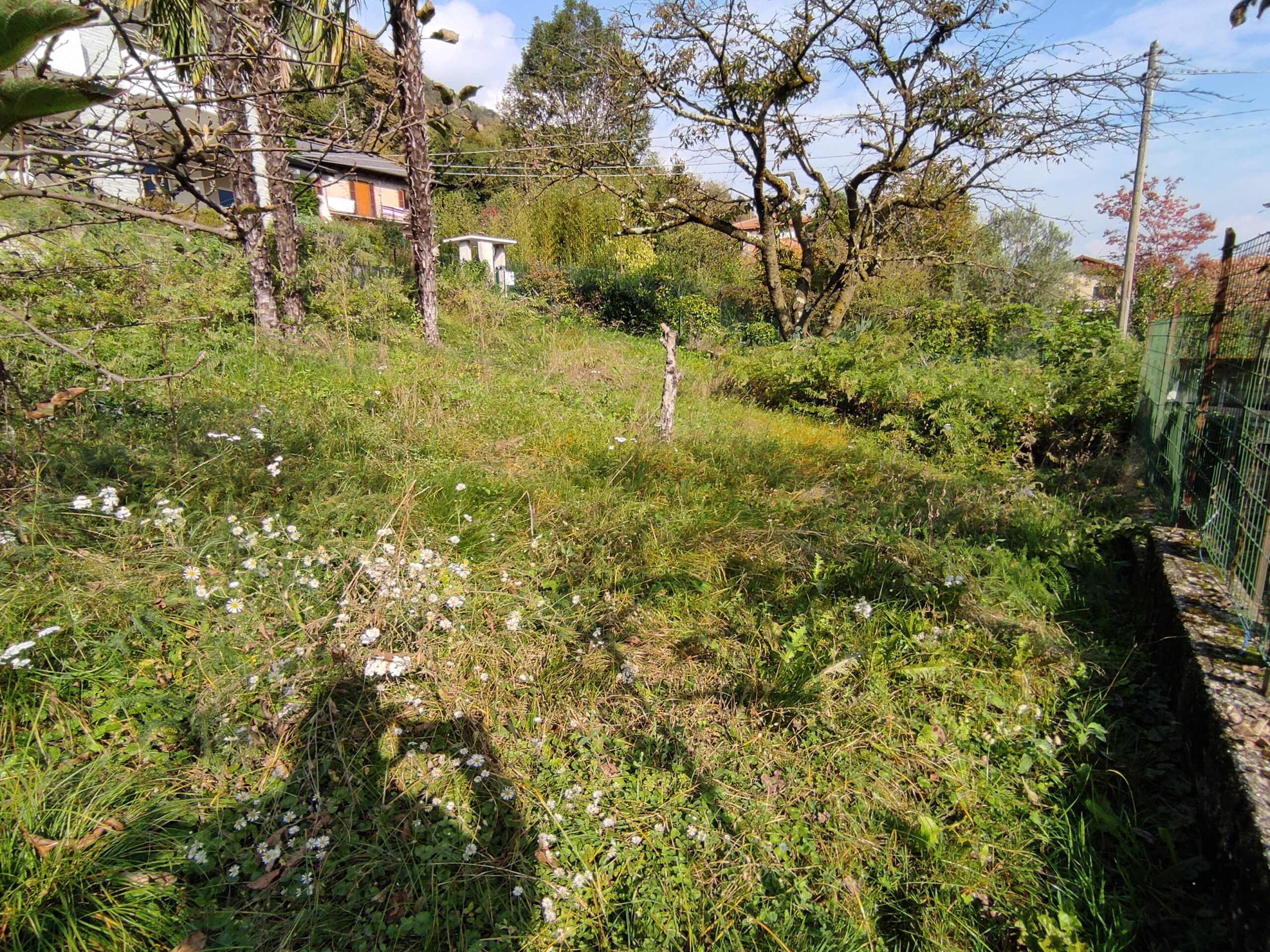 Anteprima foto Casa indipendente con giardino, Omegna