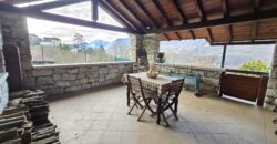 Anteprima foto Villa indipendente baciata dal sole e immersa nel verde, Granerolo