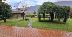 Anteprima foto Villa indipendente baciata dal sole e immersa nel verde, Granerolo