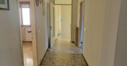 Anteprima foto Ampio quadrilocale da ristrutturare, Casale Corte Cerro