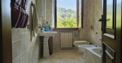 Anteprima foto CAMBIASCA: VILLA INDIPENDENTE CON GIARDINO