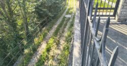 Anteprima foto CAMBIASCA: VILLA INDIPENDENTE CON GIARDINO